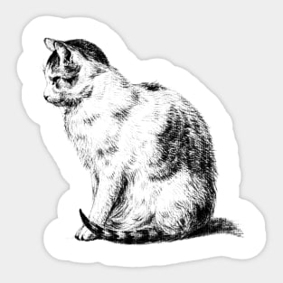 Sitting Cat Sticker